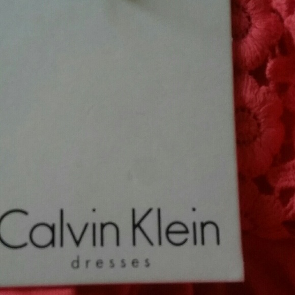 Calvin Klein Lace Accent Halter Dress Coral - Picture 6 of 7